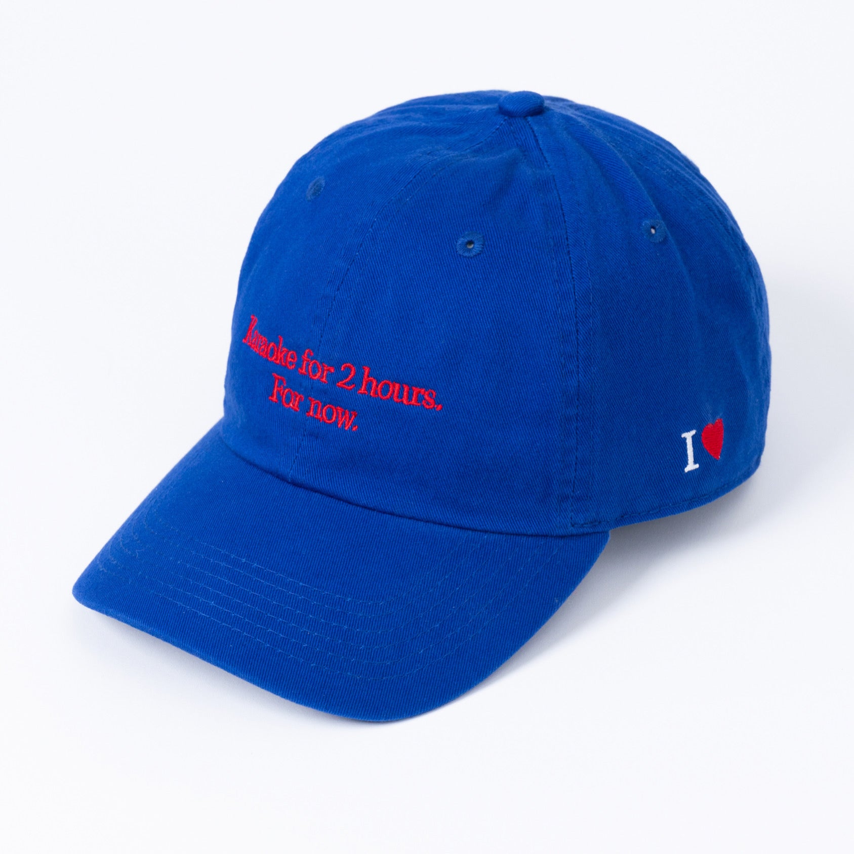 KARAOKE 2HOURS Blue Room