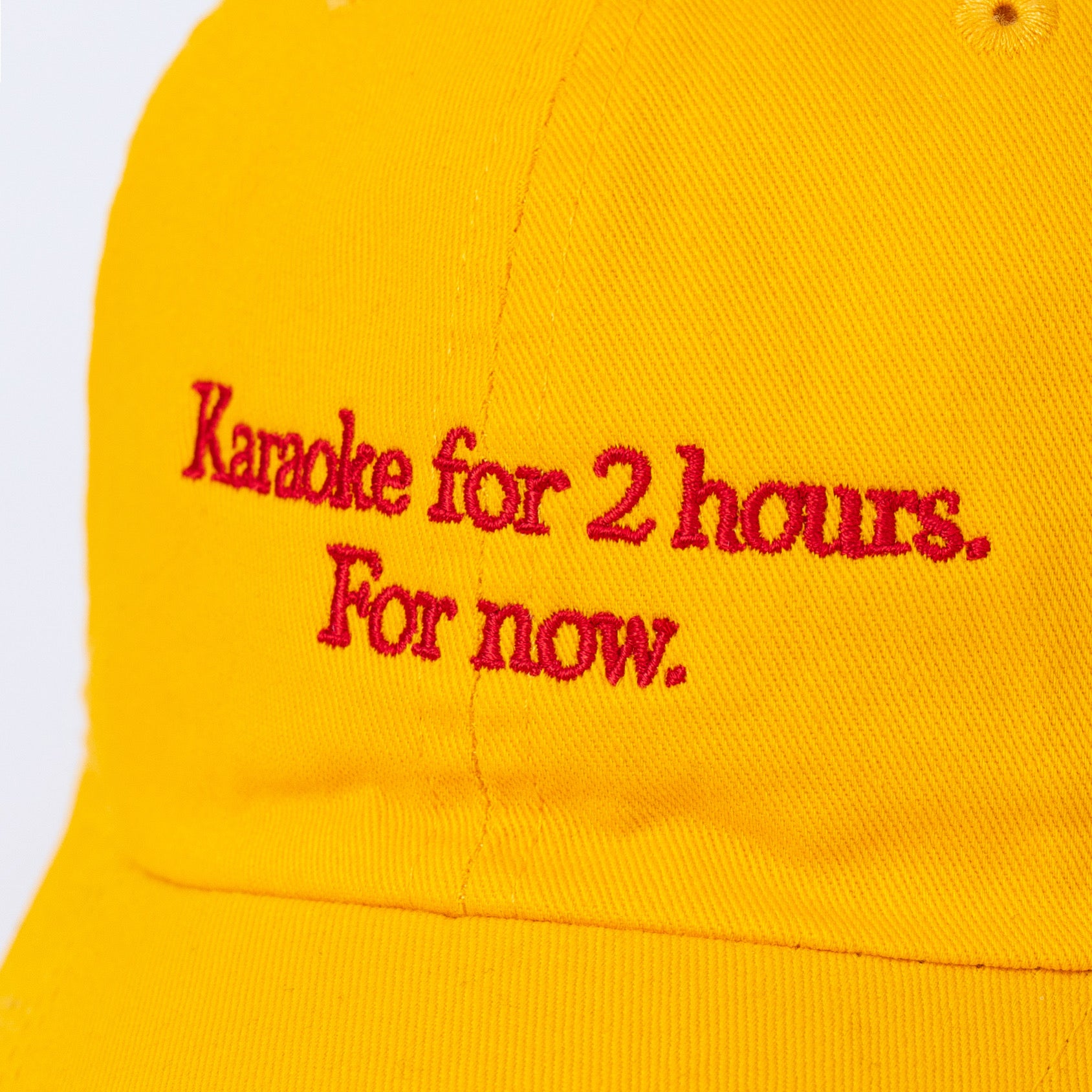 KARAOKE 2HOURS Yellow Cat